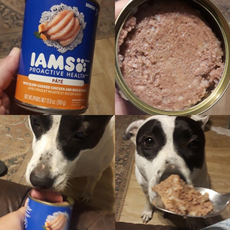 Iams canned dog food reviews best sale