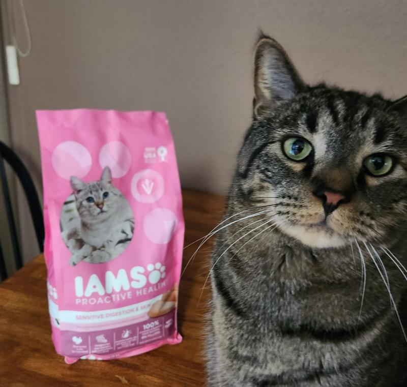 Iams sensitive cat food best sale