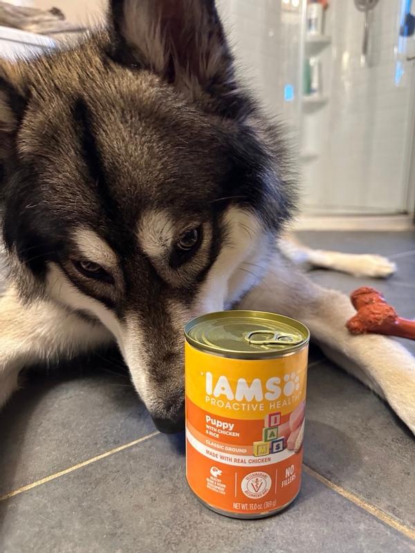 IAMS WET PROACTIVE HEALTH PUPPY WITH CHI Meijer