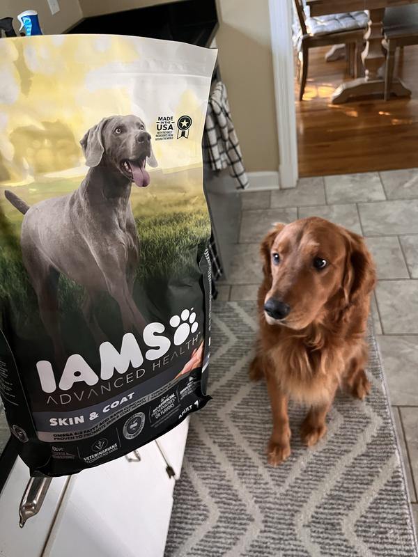 IAMS Advanced Health SKIN COAT Chicken and Salmon Recipe Adult