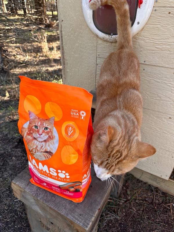 IAMS PROACTIVE HEALTH Adult Healthy Dry Cat Food with Salmon Cat Kibble 7 lb. Bag Meijer