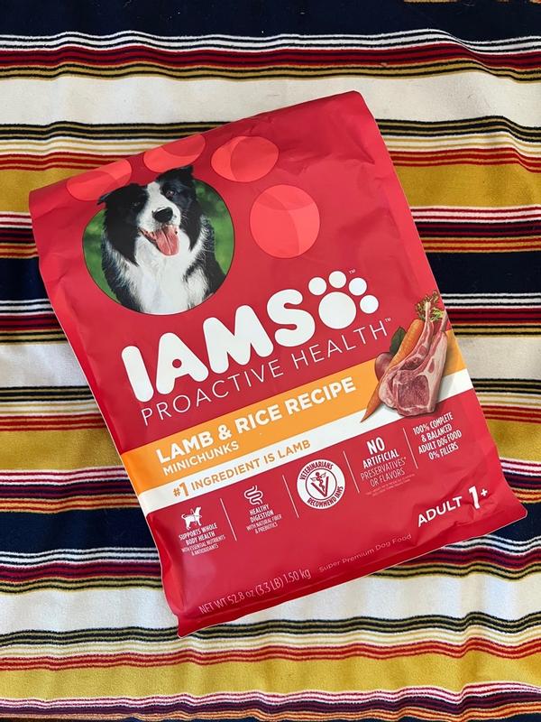 Iams proactive health outlet review