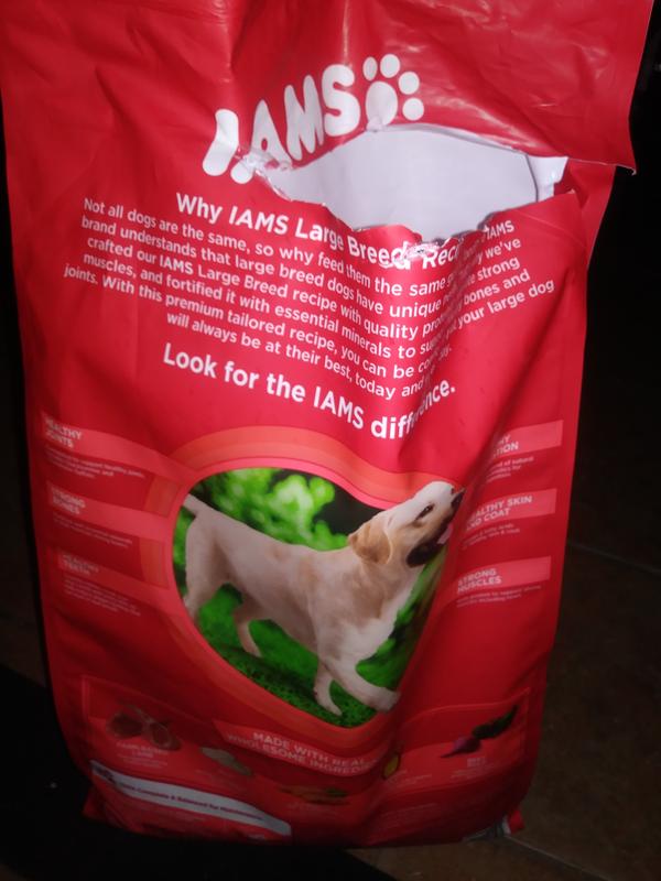 Meijer iams dog on sale food