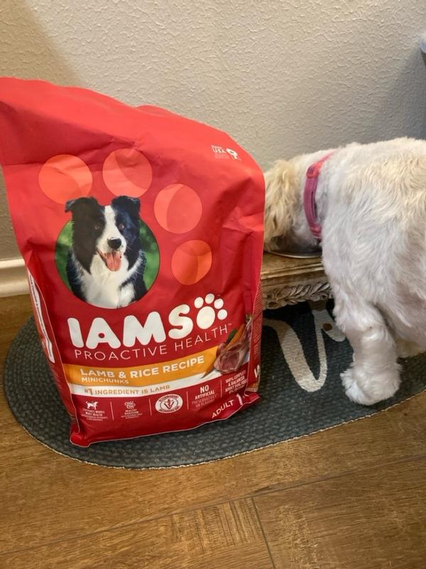 Iams proactive health outlet lamb and rice reviews