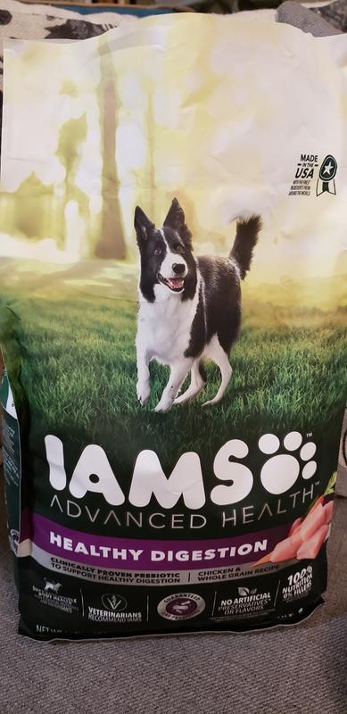 Iams probiotic dog clearance food