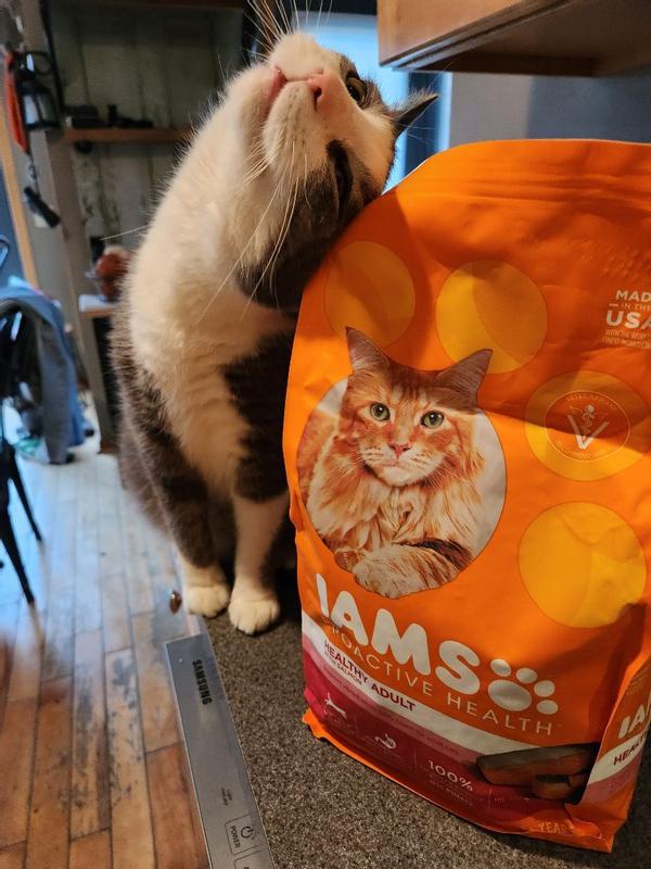 Buy IAMS Proactive Health Healthy Adult Dry Cat Food with Salmon, 3 lb. Bag  from Dollar General - Instore