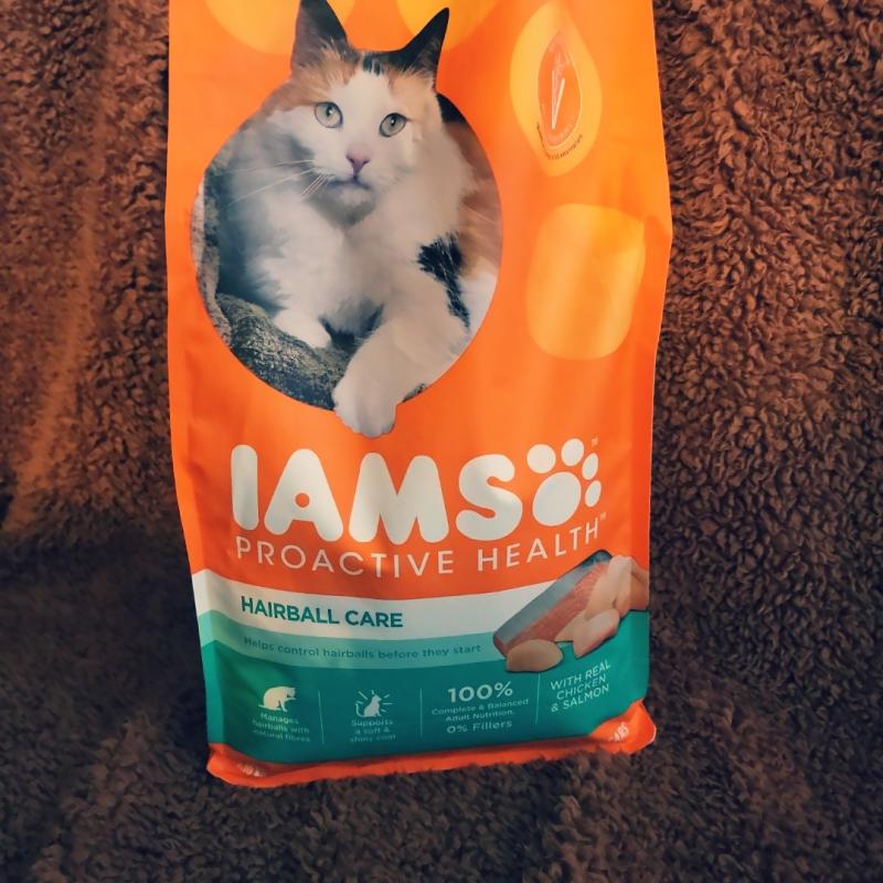 IAMS PROACTIVE HEALTH Adult Hairball Care Dry Cat Food with