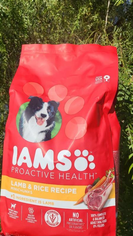 IAMS PROACTIVE HEALTH Minichunks Adult Dry Dog Food Lamb Rice