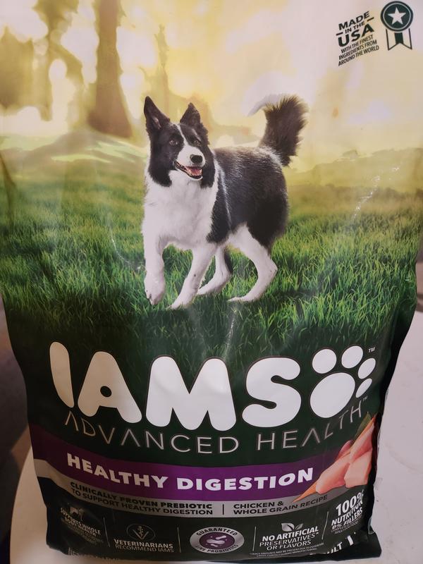 IAMS ADVANCED HEALTH Adult Healthy Digestion Dry Dog Food with