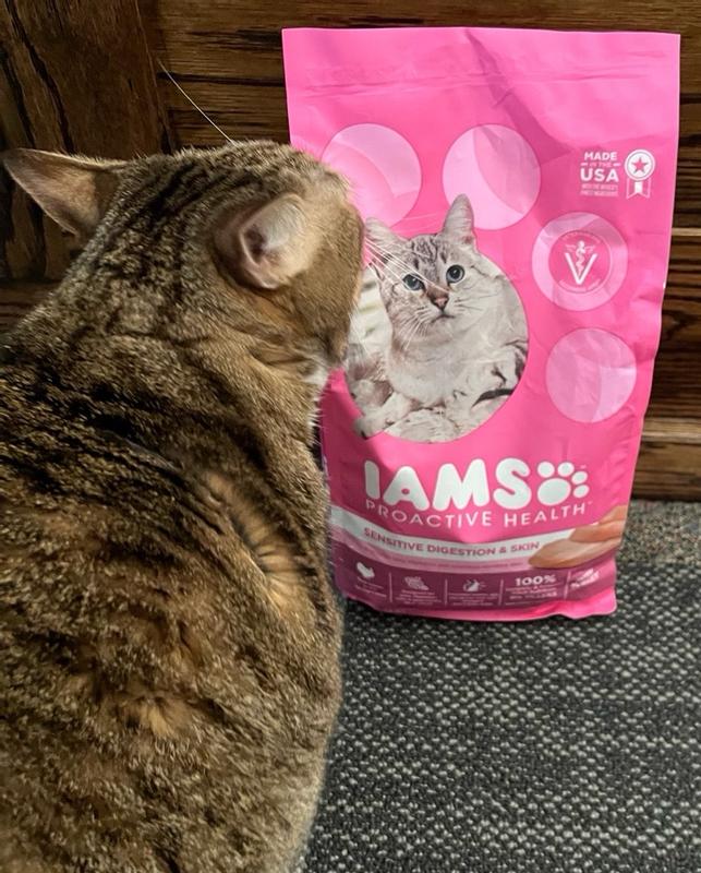 Iams sensitive stomach discount cat