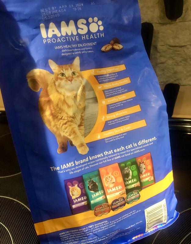 Iams healthy kitten review hotsell