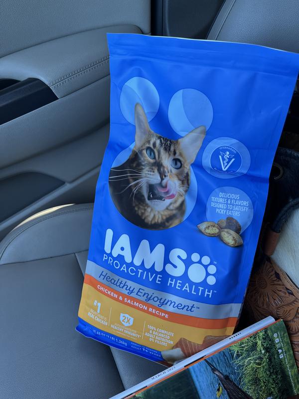 IAMS Healthy Enjoyment Dry Cat Food Chicken Salmon Recipe 6 lb. Bag Meijer