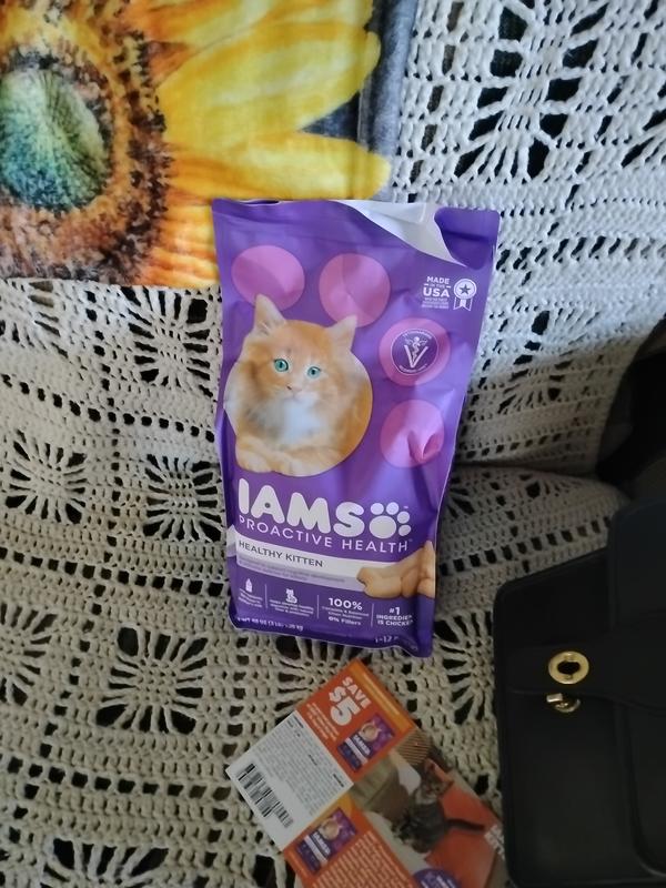 Iams proactive health healthy kitten best sale