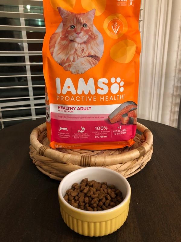 Iams salmon cat outlet food