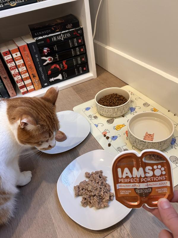 Iams grain free wet cat food best sale