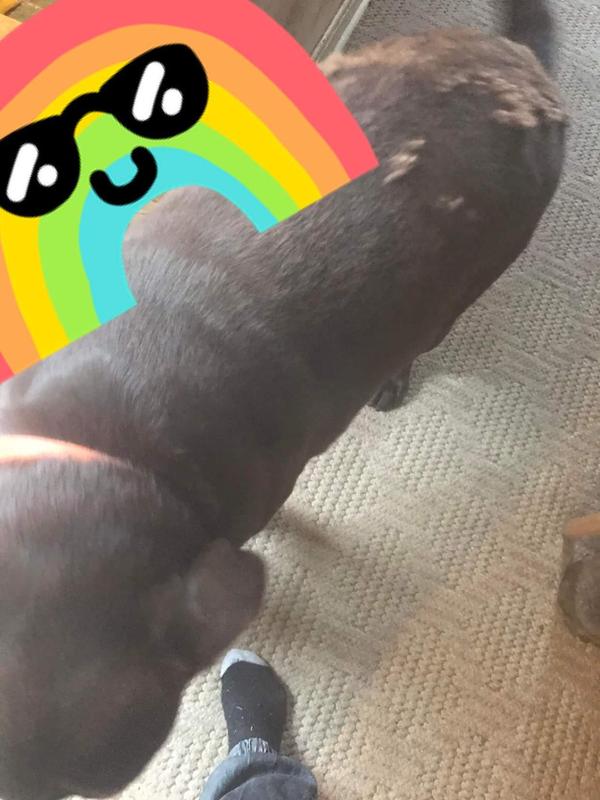 From this hair looks to…