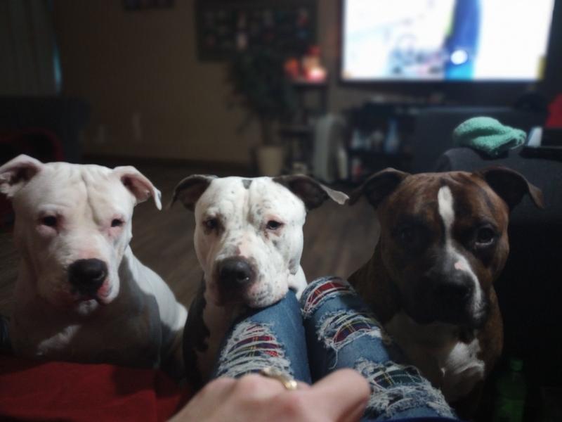 IAMs please!
