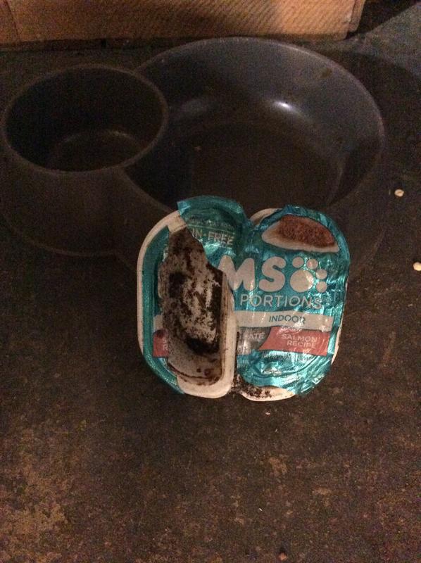 Iams