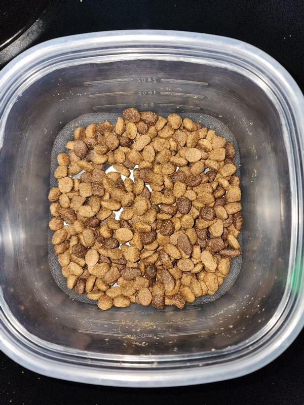 Photo - commentaire&nbsp;2.