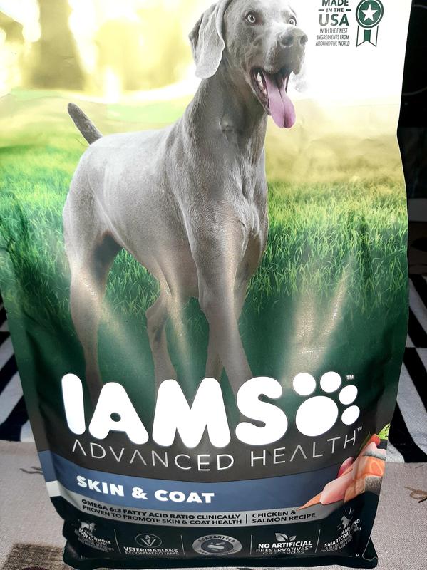 IAMS Advanced Health SKIN COAT Chicken and Salmon Recipe Adult Dry Dog Food 6 lb. Bag