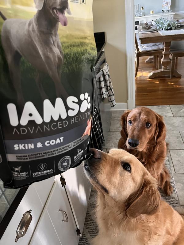 IAMS Advanced Health SKIN COAT Chicken and Salmon Recipe Adult