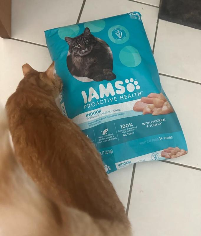 aafco approved wet cat food Farm to Sea Cat Food Variety Pack main image 0