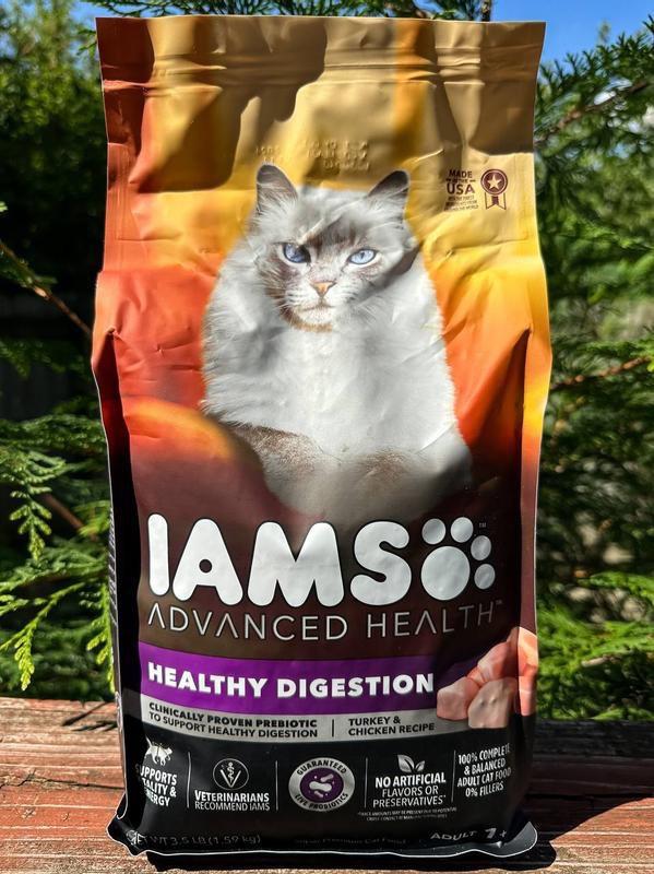 Cat Food For Intestinal Problems Factory Sale www.meesenburg.kz