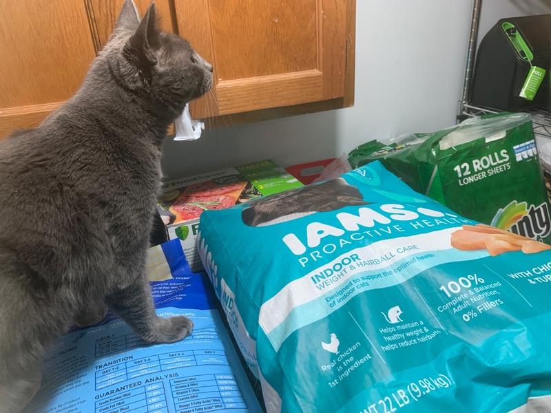 Iams cat food hairball hotsell weight control