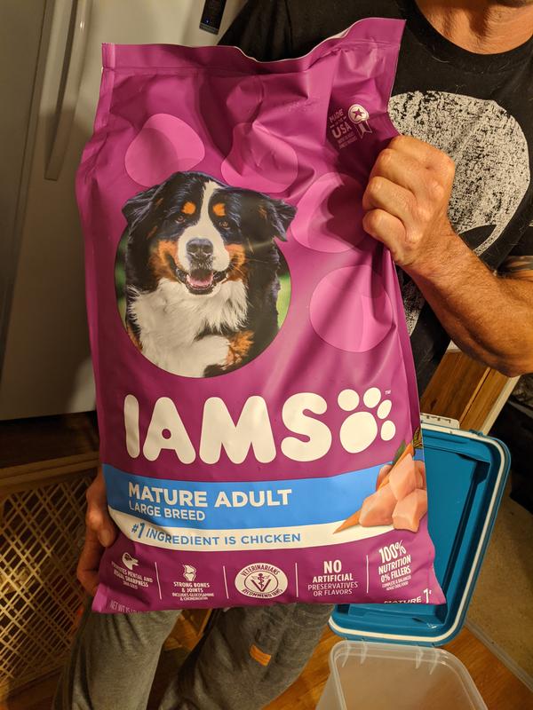 Iams mature adult large hot sale breed