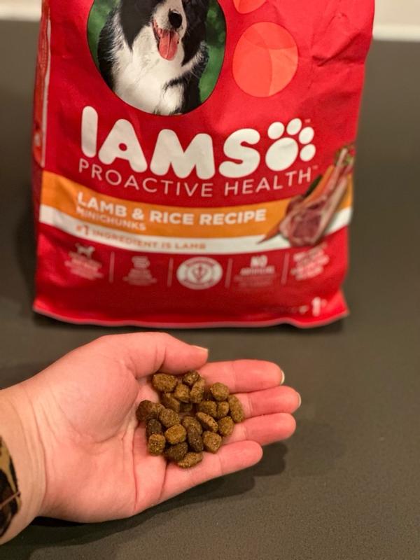 Iams proactive health small breed outlet review