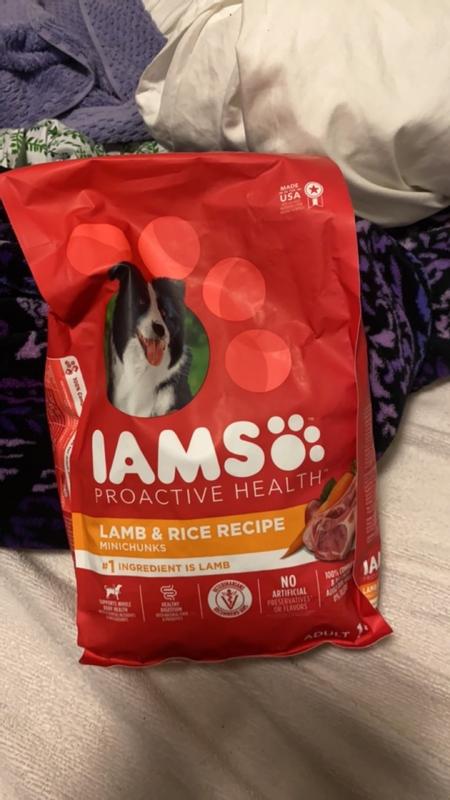 Iams proactive health lamb and rice reviews best sale