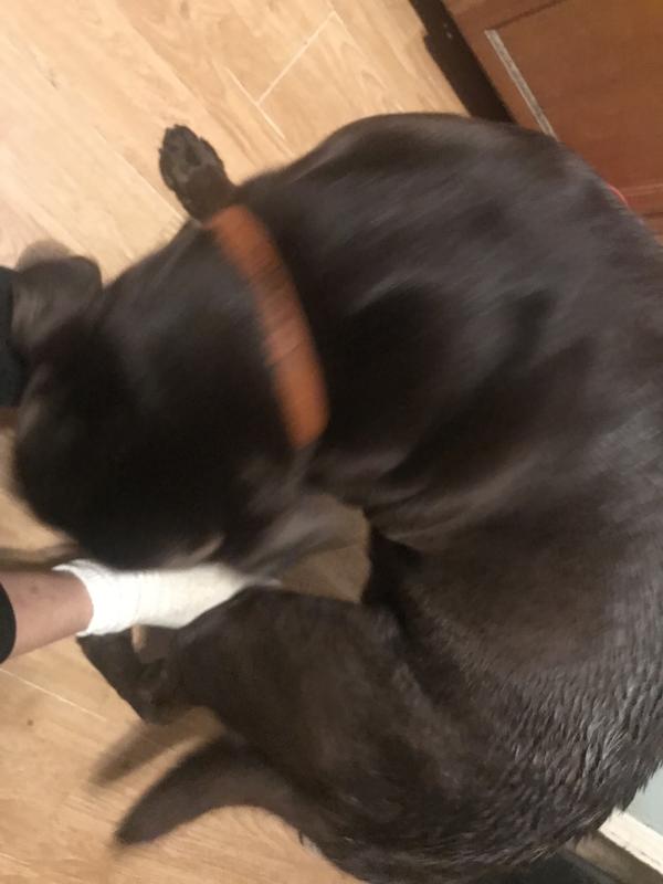 His new hair now, his wet from the rain…