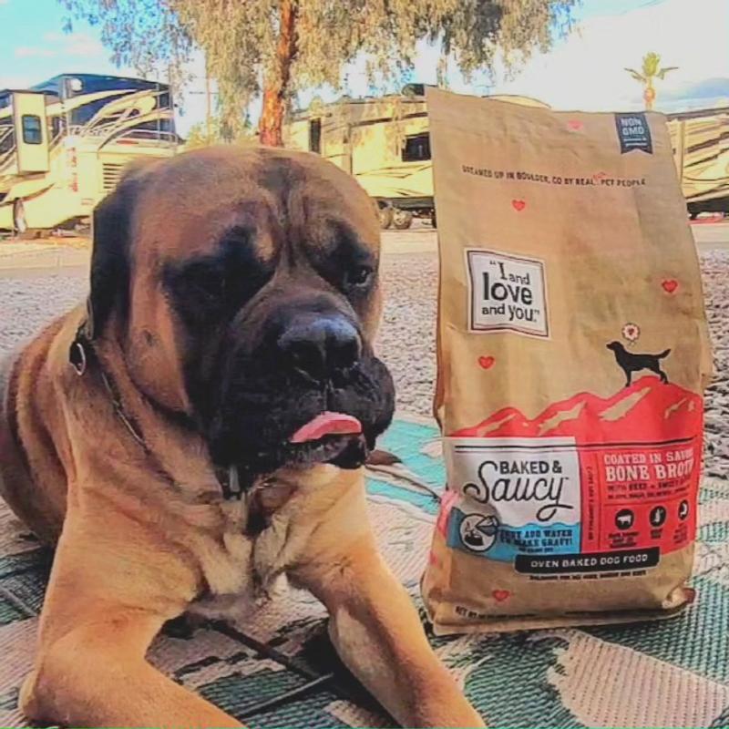 Discount best dry food for bullmastiff puppy Online Sale
