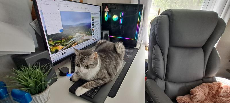 My gaming buddy