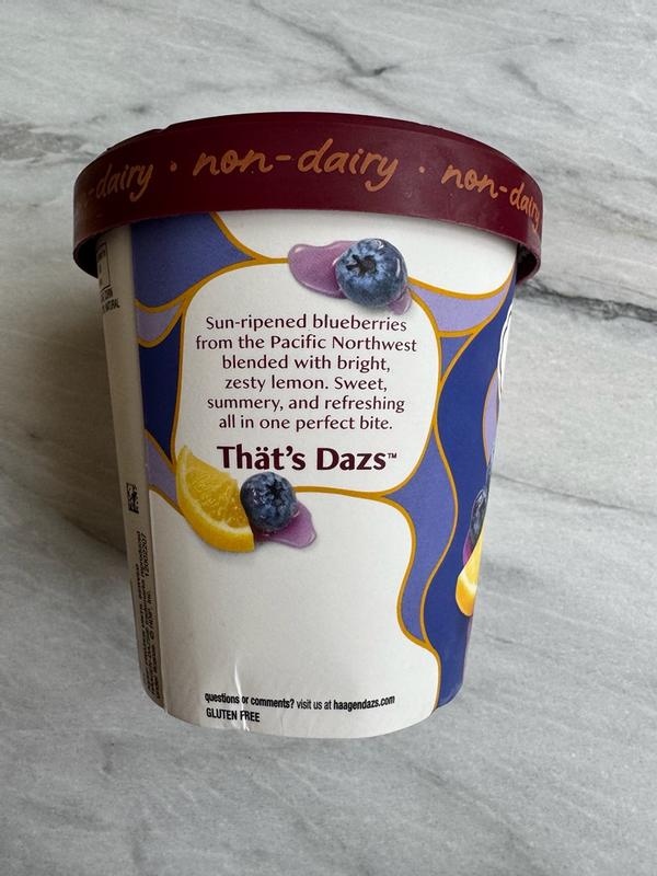 Summer Blueberry & Lemon Sorbet | Häagen-Dazs®