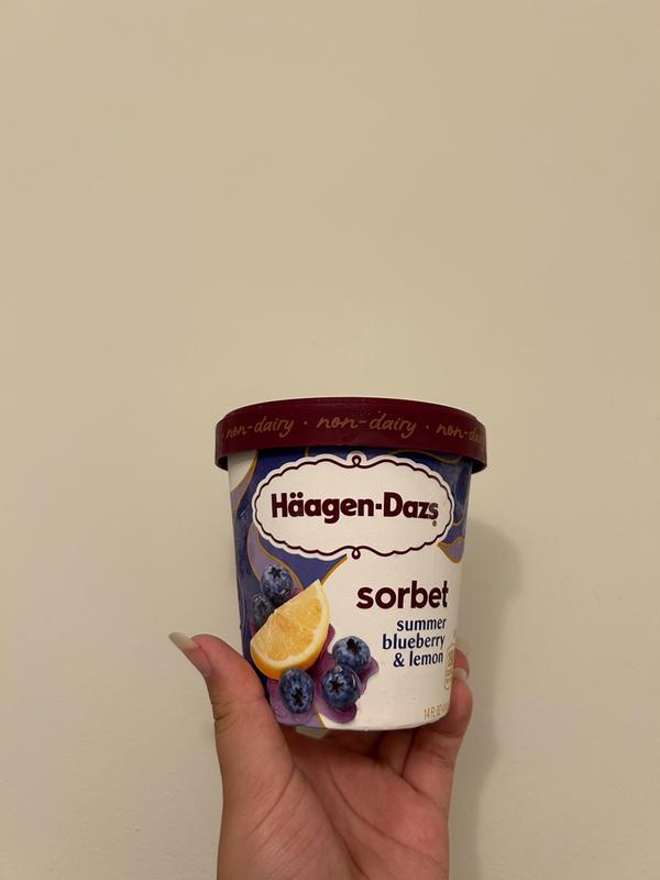 Summer Blueberry & Lemon Sorbet | Häagen-Dazs®