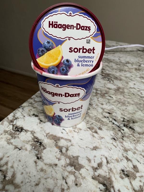 Summer Blueberry & Lemon Sorbet | Häagen-Dazs®