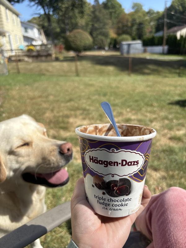 コラーゲンスキンシリーズ Triple Chocolate Fudge Cookie Ice Cream | Häagen-Dazs®