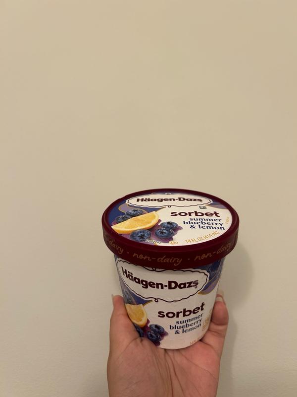 Summer Blueberry & Lemon Sorbet | Häagen-Dazs®