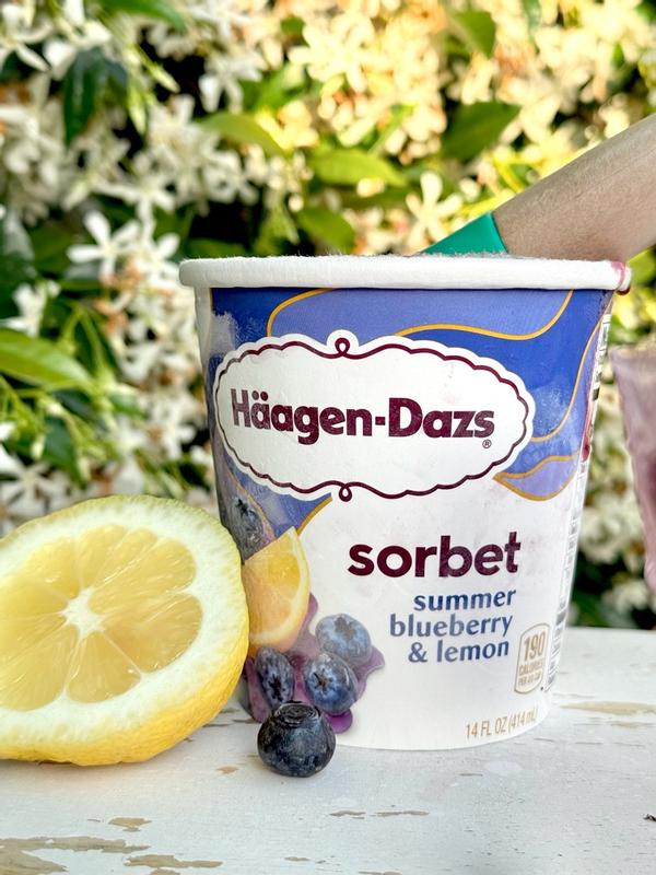 Summer Blueberry & Lemon Sorbet | Häagen-Dazs®