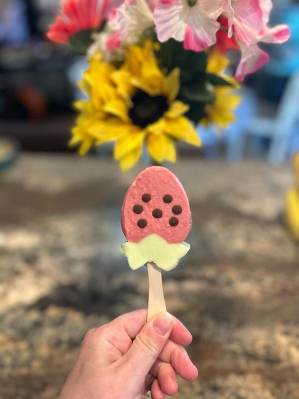 Stampi Per Gelato In Silicone – 4 Pezzi, Fai Da Te, Senza BPA, Con Bastoncini E Vaschetta Antigoccia (rosa)
