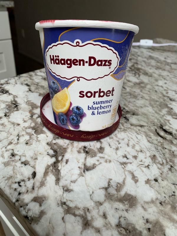 Summer Blueberry & Lemon Sorbet | Häagen-Dazs®