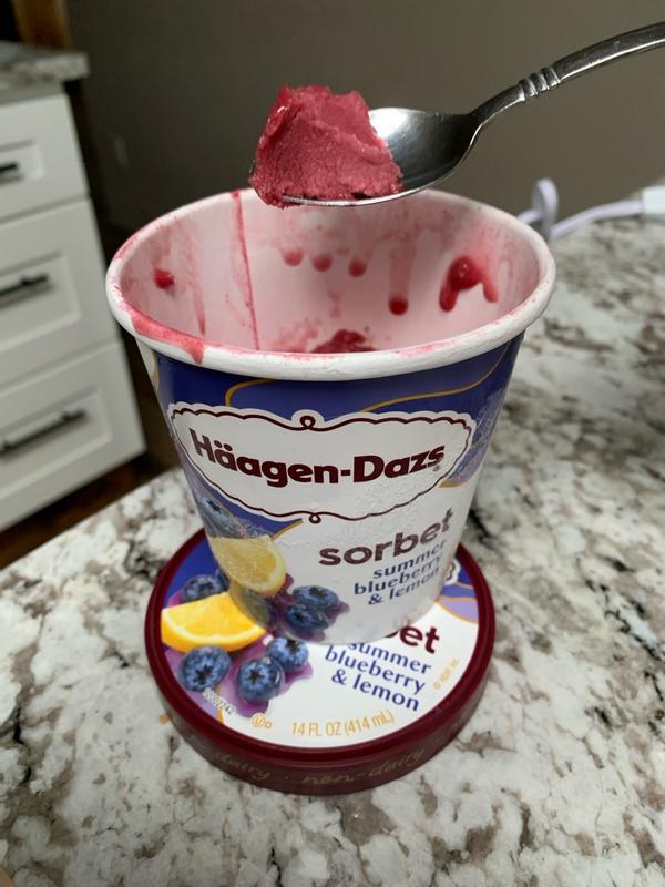 Summer Blueberry & Lemon Sorbet | Häagen-Dazs®