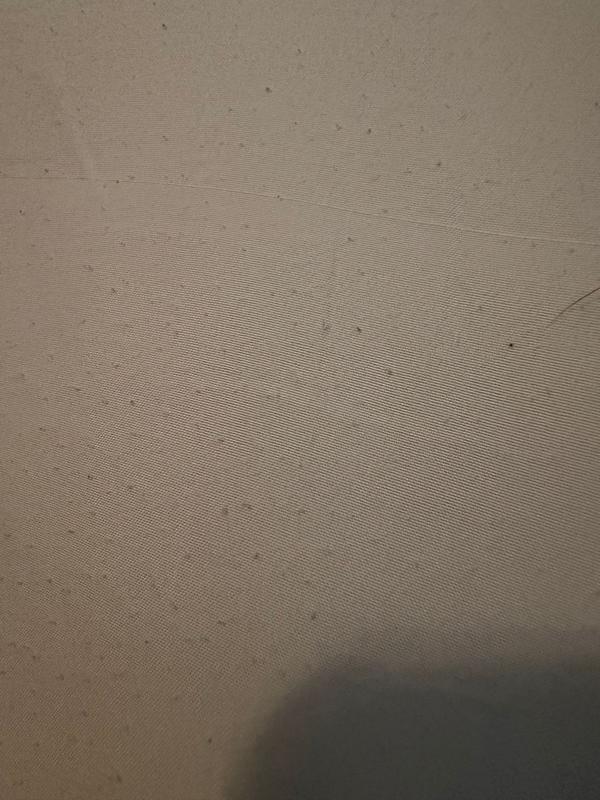 Customer carousel item 1.