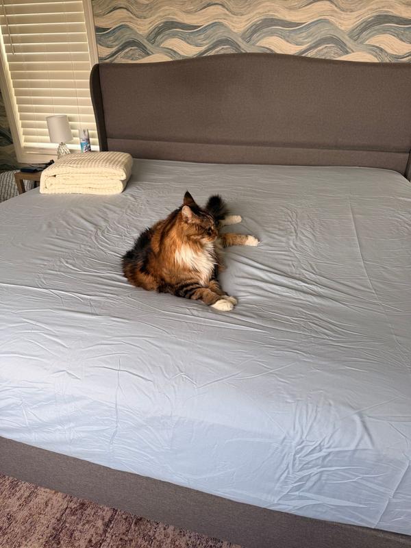 Customer carousel item 7.