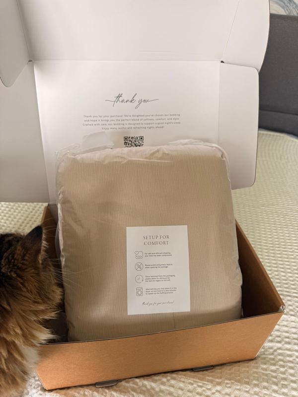 Customer carousel item 6.