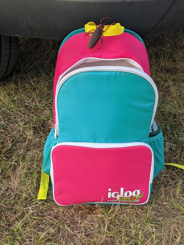 Igloo 20 Can Retro Backpack Soft Sided Cooler, Purple 