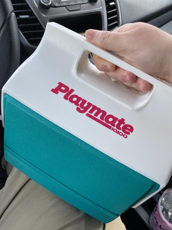 Retro Playmate Mini 4 Qt Cooler