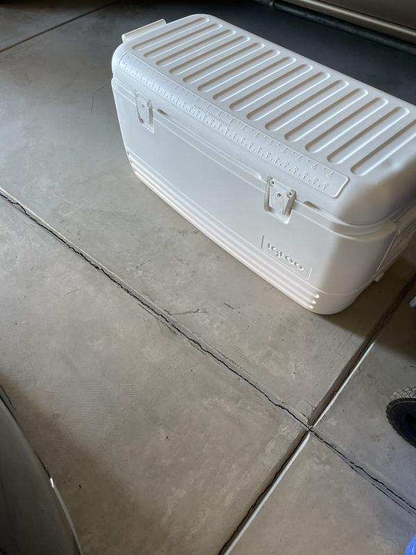 Igloo Coolers  Polar 120 Qt Cooler-White