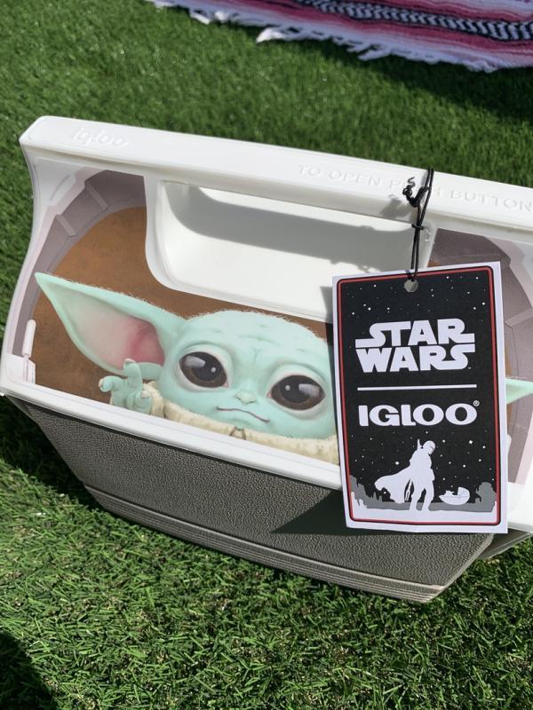 Igloo Mini Star Wars R2D2/BB8/Camping cooler – The Spot Boutique